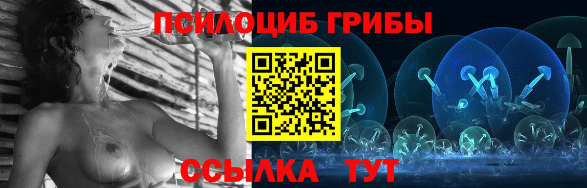 Псилоцибиновые грибы GOLDEN TEACHER Лобня