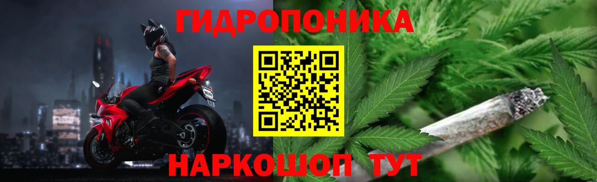 Бошки марихуана THC 21%  Марихуана семена  Лобня  Конопля Bruce Banner  Вход с VPN 